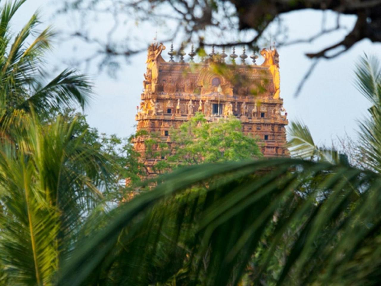 Jaffna Heritage Villa Extérieur photo